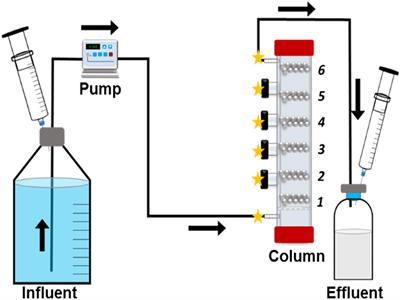 Iron to Gas: Versatile Multiport Flow-Column Revealed Extremely High Corrosion Potential by Methanogen-Induced Microbiologically Influenced Corrosion (Mi-MIC)